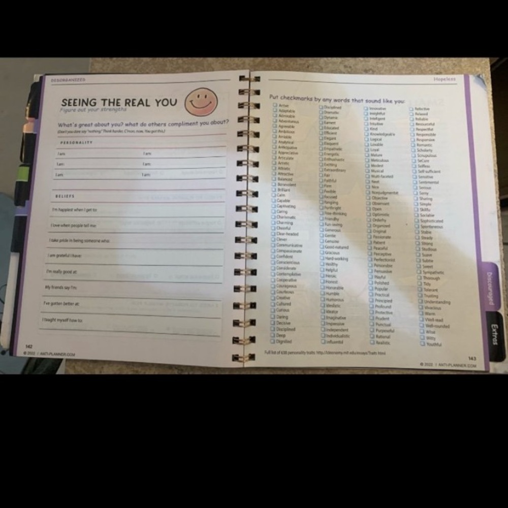 New! The Anti-Planner: How to Get Sht Done When You Don't Feel Like It* - Picture 5 of 7